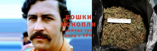 индика Сатка