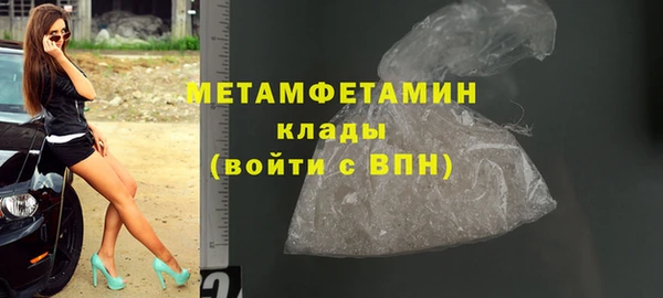 индика Сатка