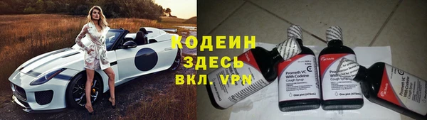 индика Сатка