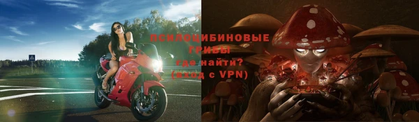 стаф Богородск