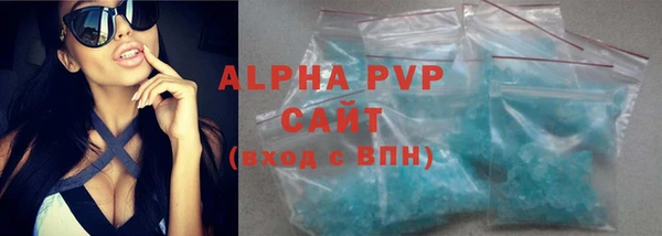 индика Сатка