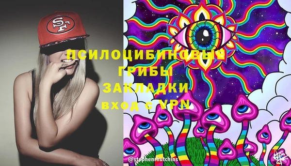 метамфетамин Богданович
